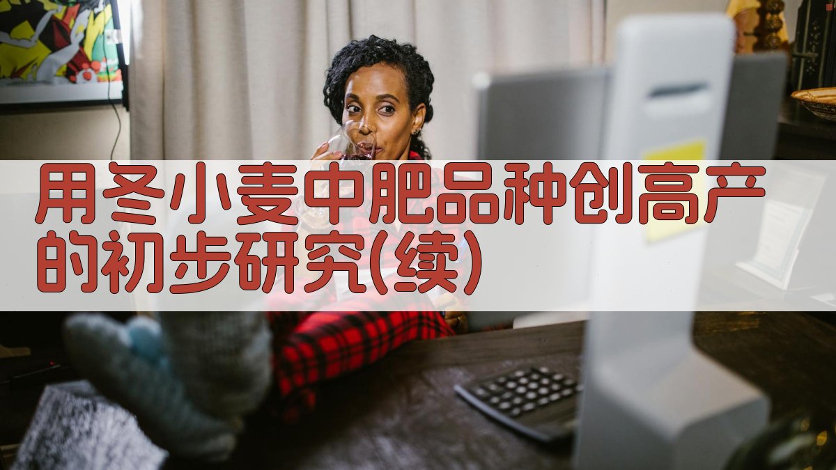 冬小麦高产研究