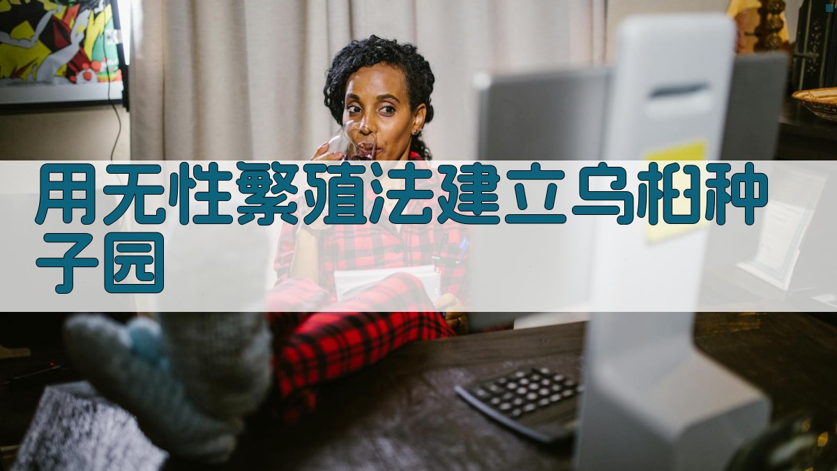 AI用无性繁殖法建立乌桕种子园