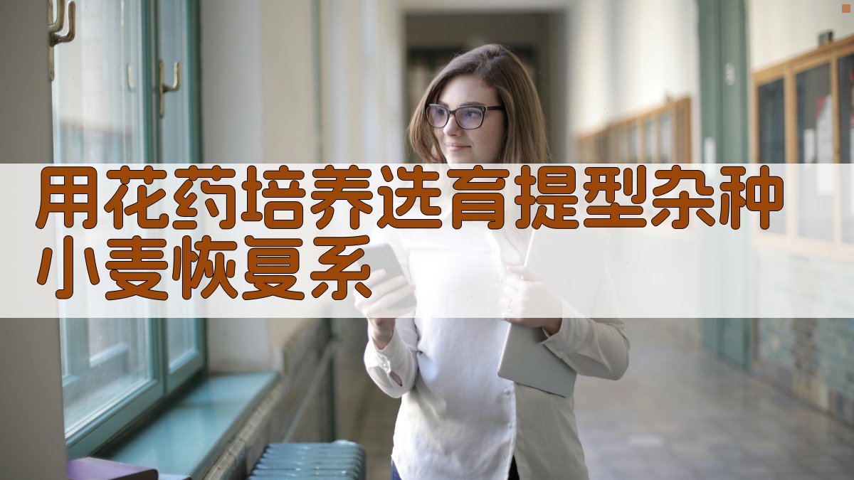 AI小麦育种助手