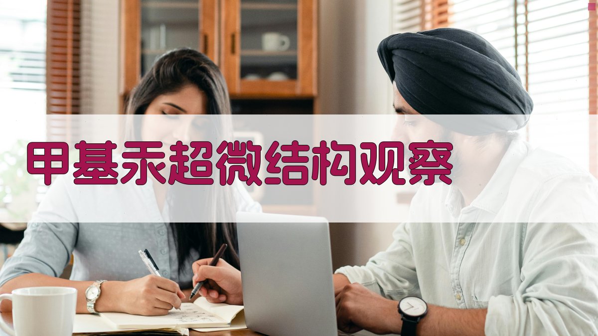 甲基汞超微结构观察