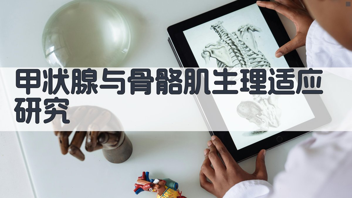 甲状腺与骨骼肌生理适应研究