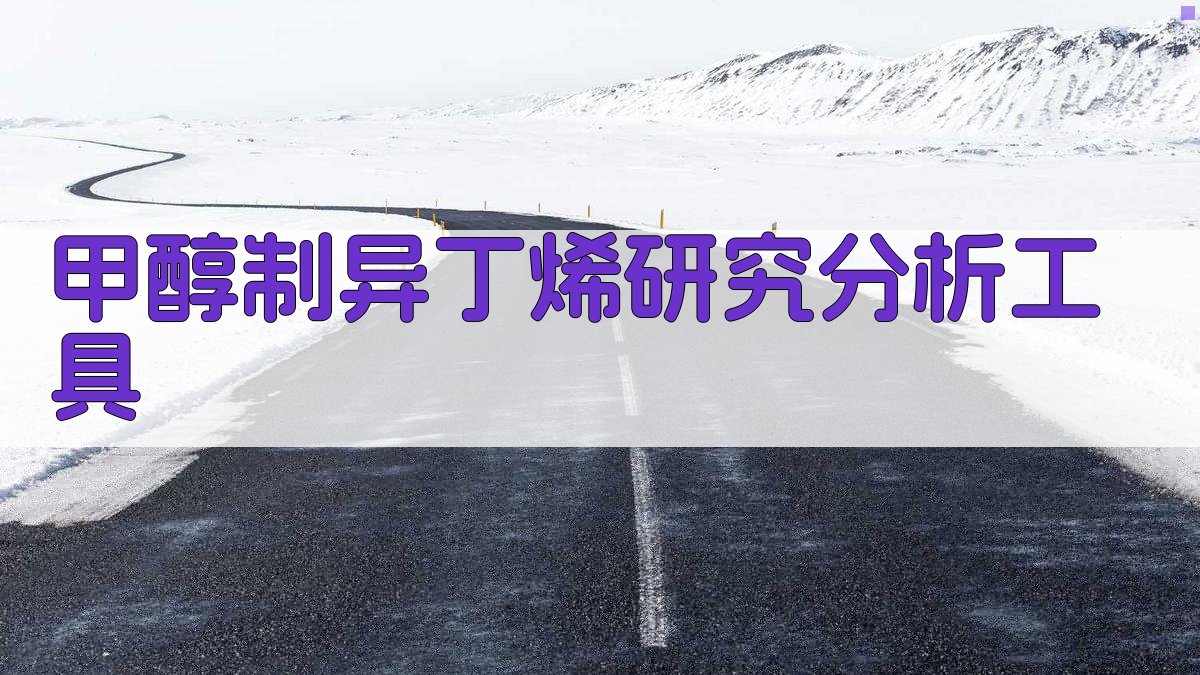 甲醇制异丁烯研究分析工具