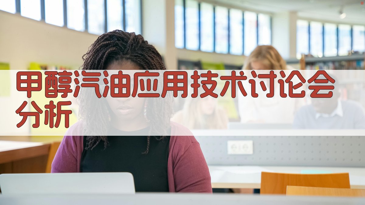 AI甲醇汽油应用技术讨论会分析