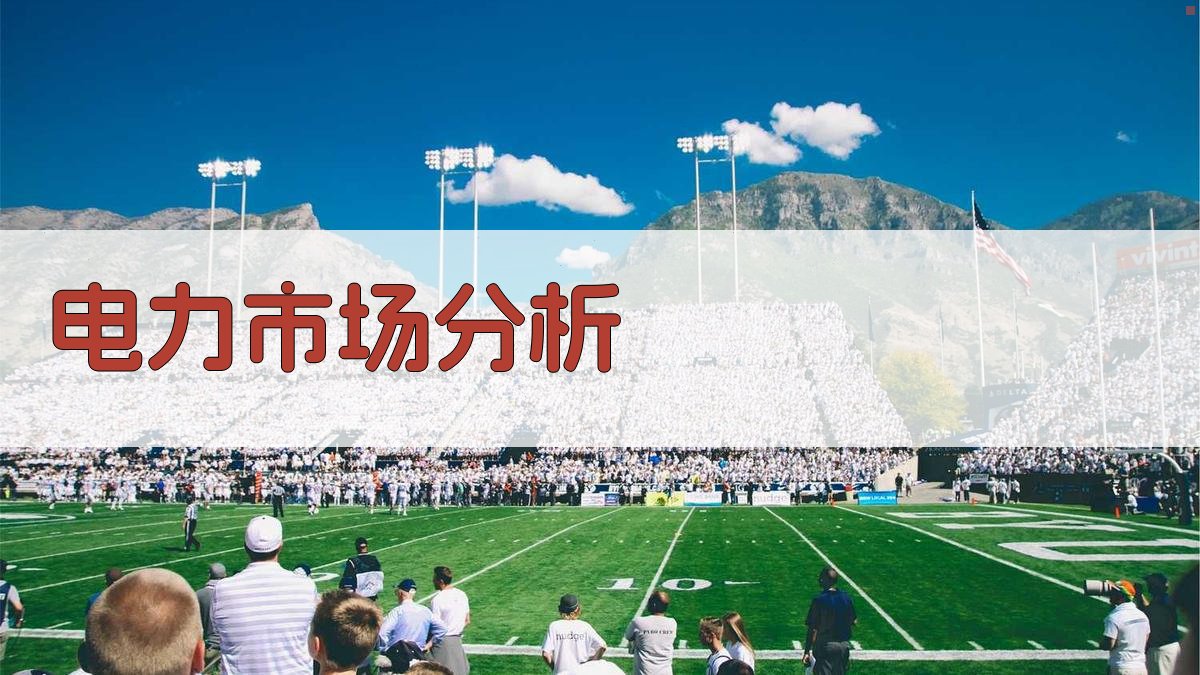 电力市场分析