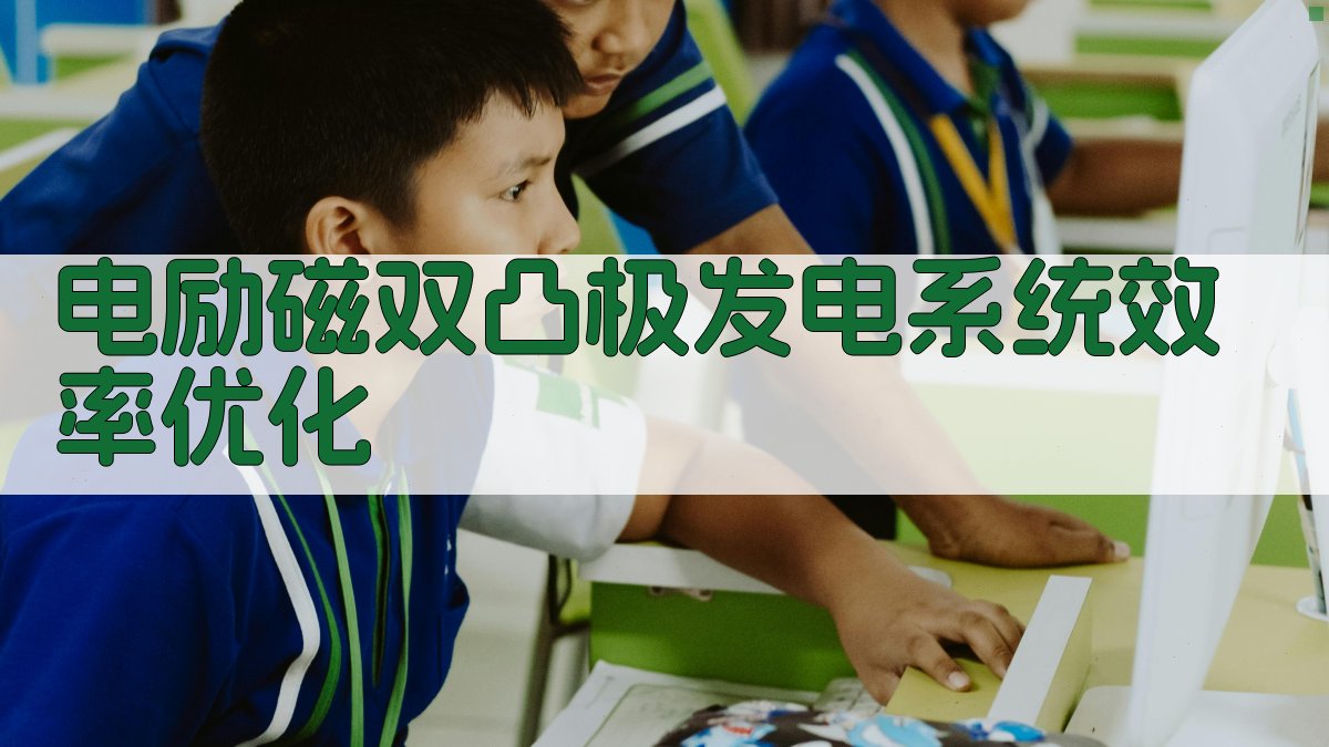 AI电励磁双凸极发电系统效率优化