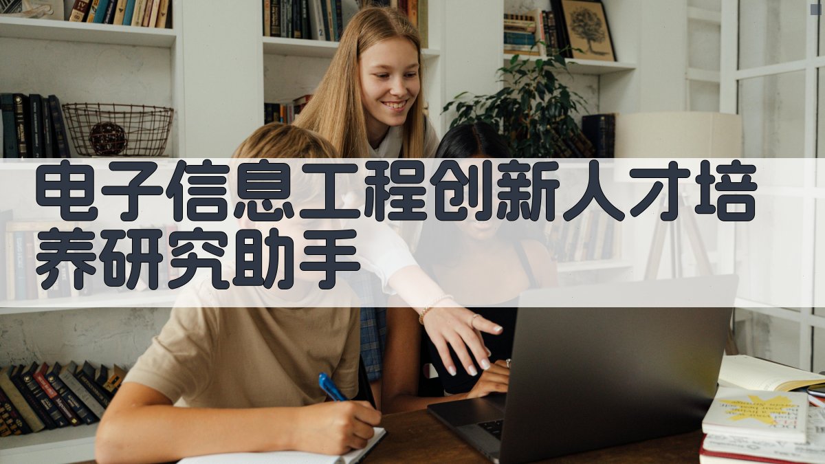 电子信息工程创新人才培养研究助手