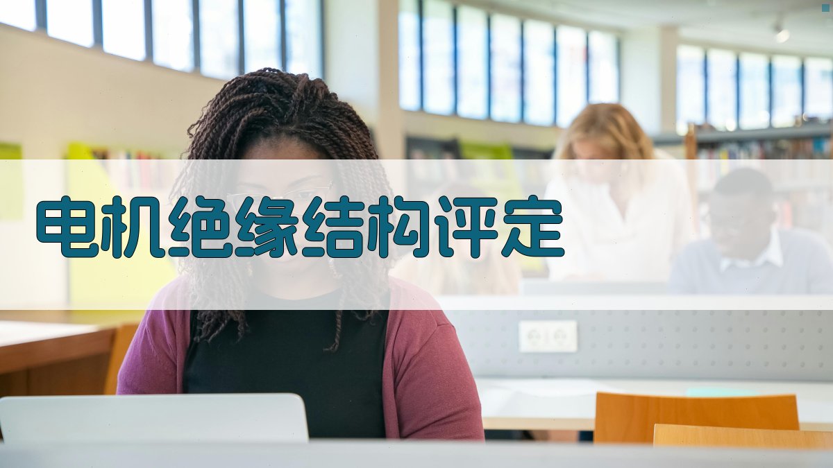 电机绝缘结构评定