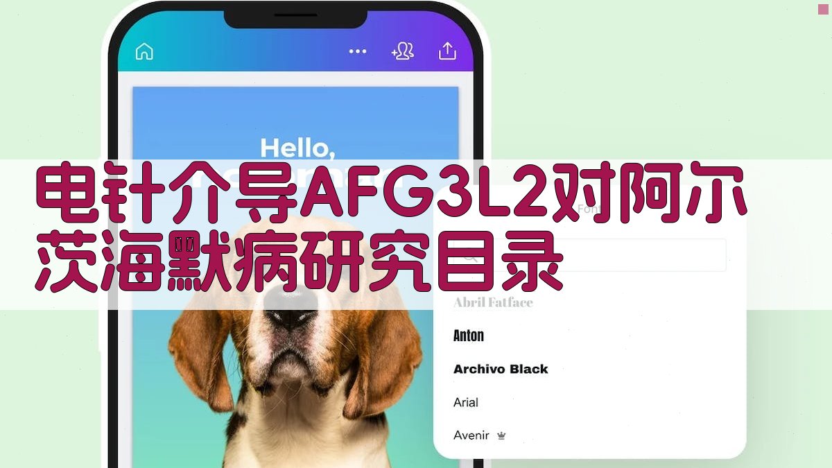 电针介导AFG3L2对阿尔茨海默病研究目录