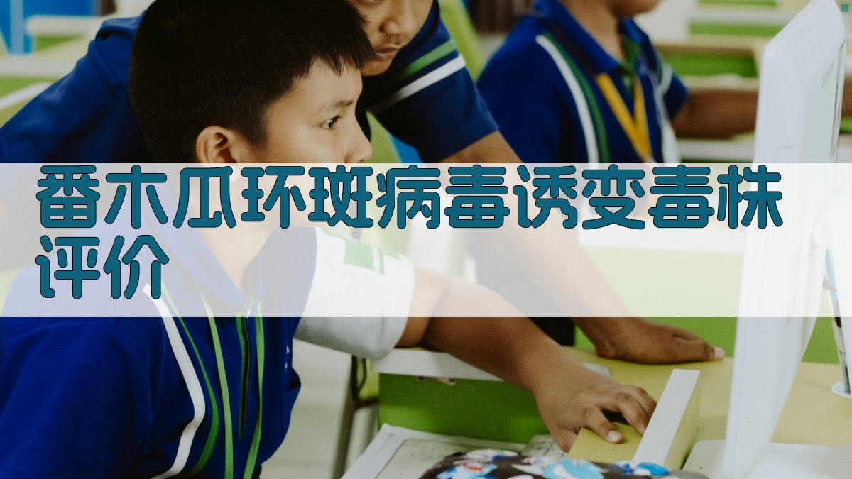 番木瓜环斑病毒诱变毒株评价工具