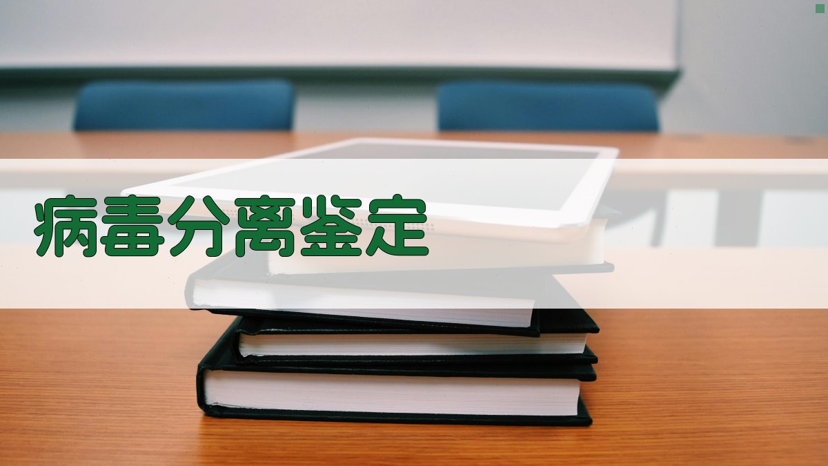 AI辅助水牛源狂犬病病毒分离鉴定报告生成