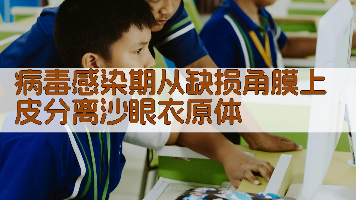 病毒感染期从缺损角膜上皮分离沙眼衣原体