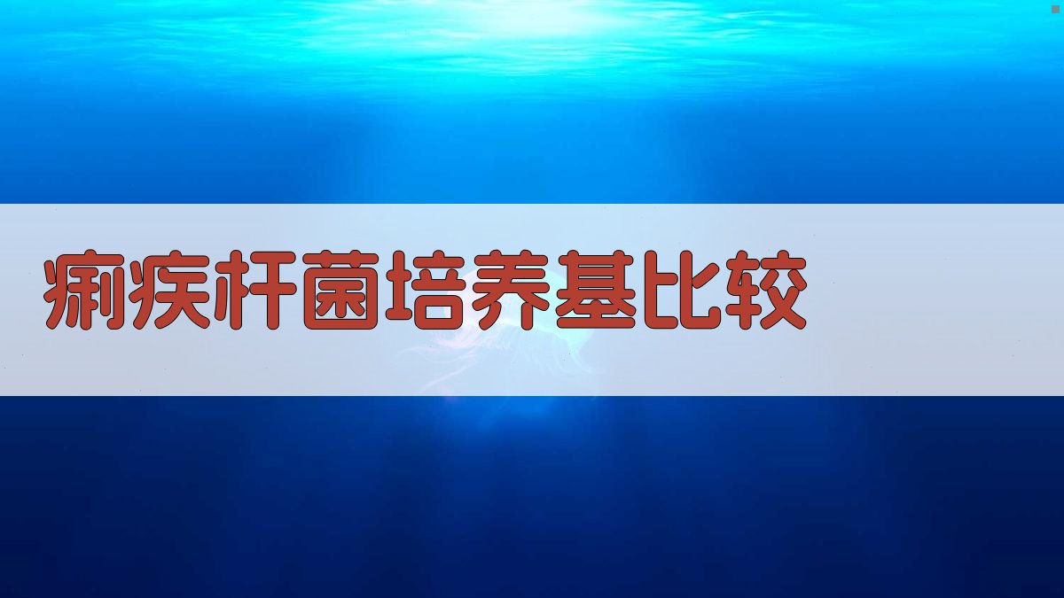 痢疾杆菌培养基比较