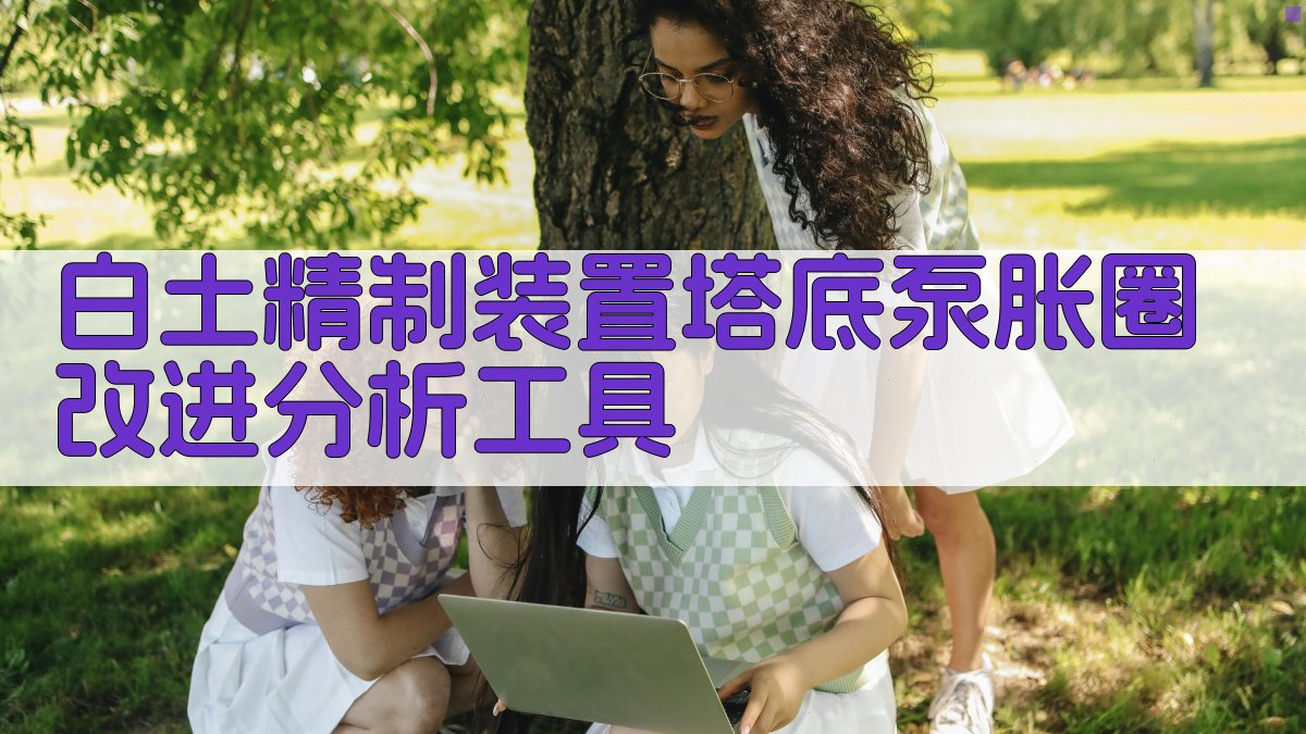 白土精制装置塔底泵胀圈改进分析工具