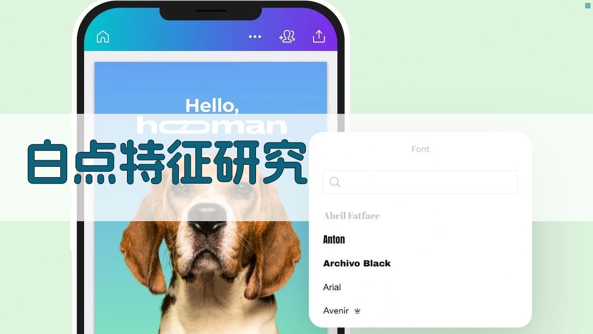 AI白点特征研究