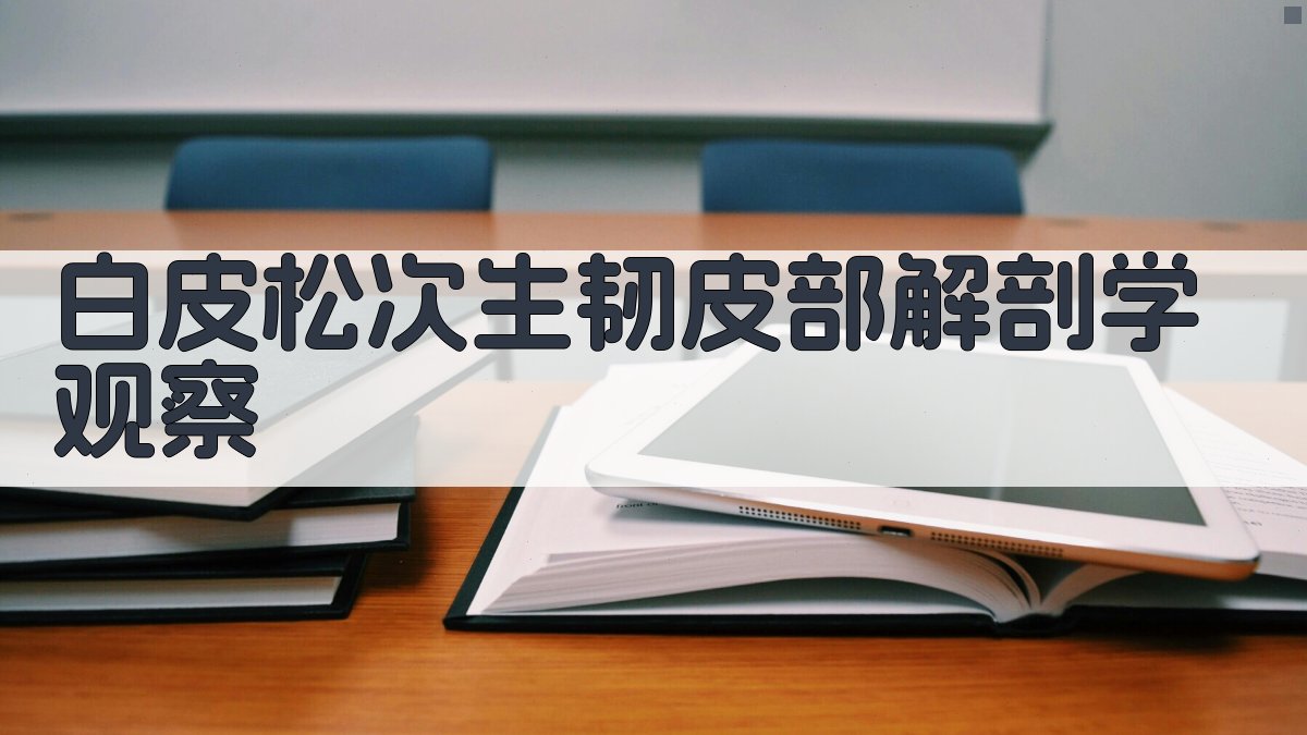 白皮松次生韧皮部解剖学观察