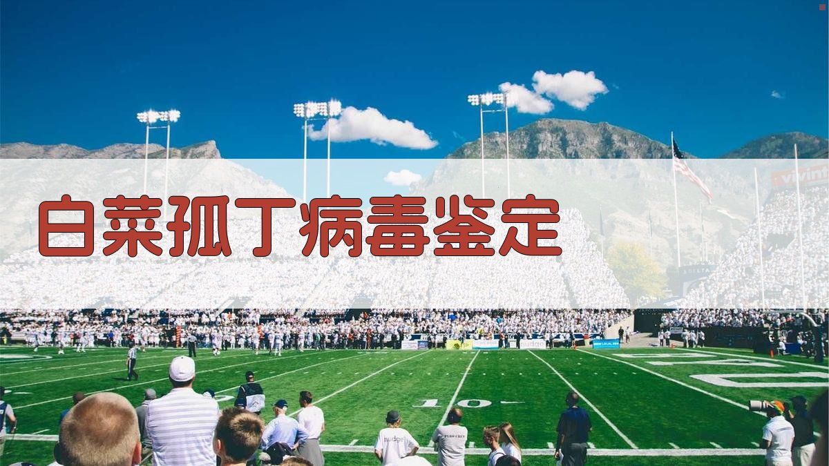 AI一键生成白菜孤丁病毒鉴定报告结构