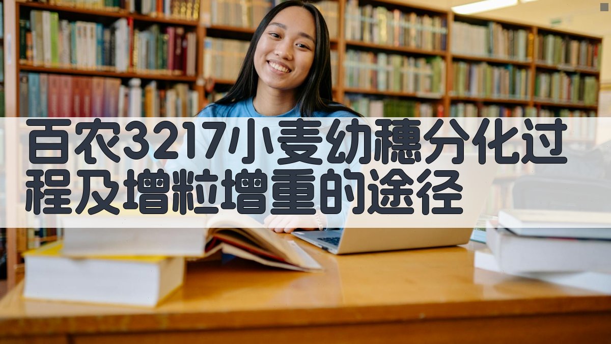 百农3217小麦幼穗分化过程及增粒增重的途径