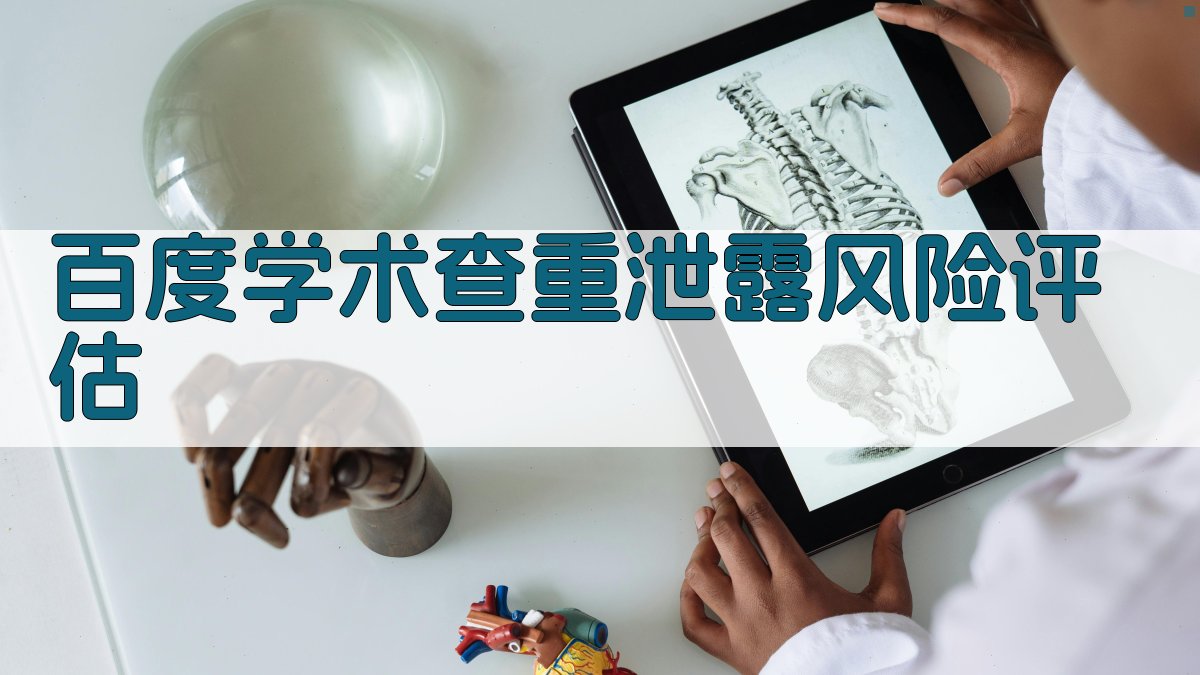 百度学术查重泄露风险评估
