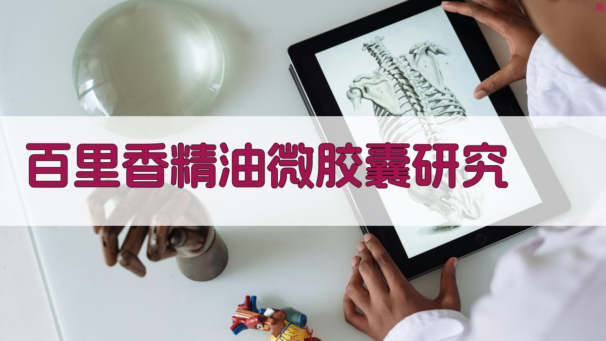 AI智能研究论文目录生成器