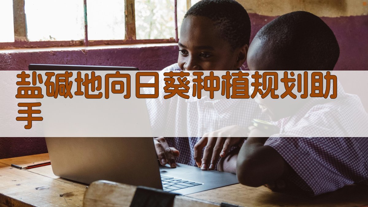 盐碱地种向日葵大有前途