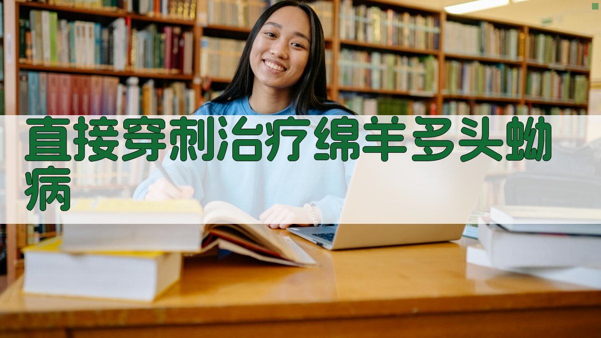 直接穿刺治疗绵羊多头蚴病