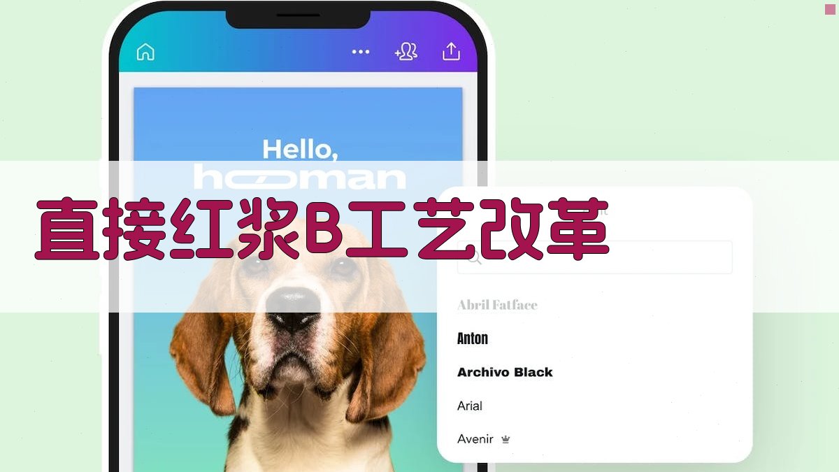 AI智能直接红浆B工艺改革方案生成器