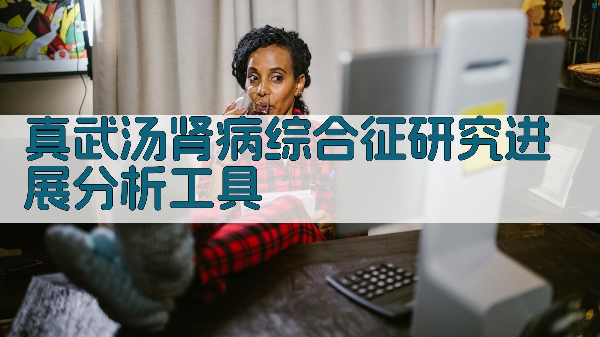 真武汤肾病综合征研究进展分析工具