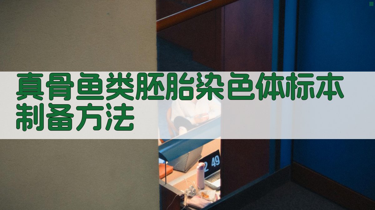 AI一键生成真骨鱼类胚胎染色体标本制备方法