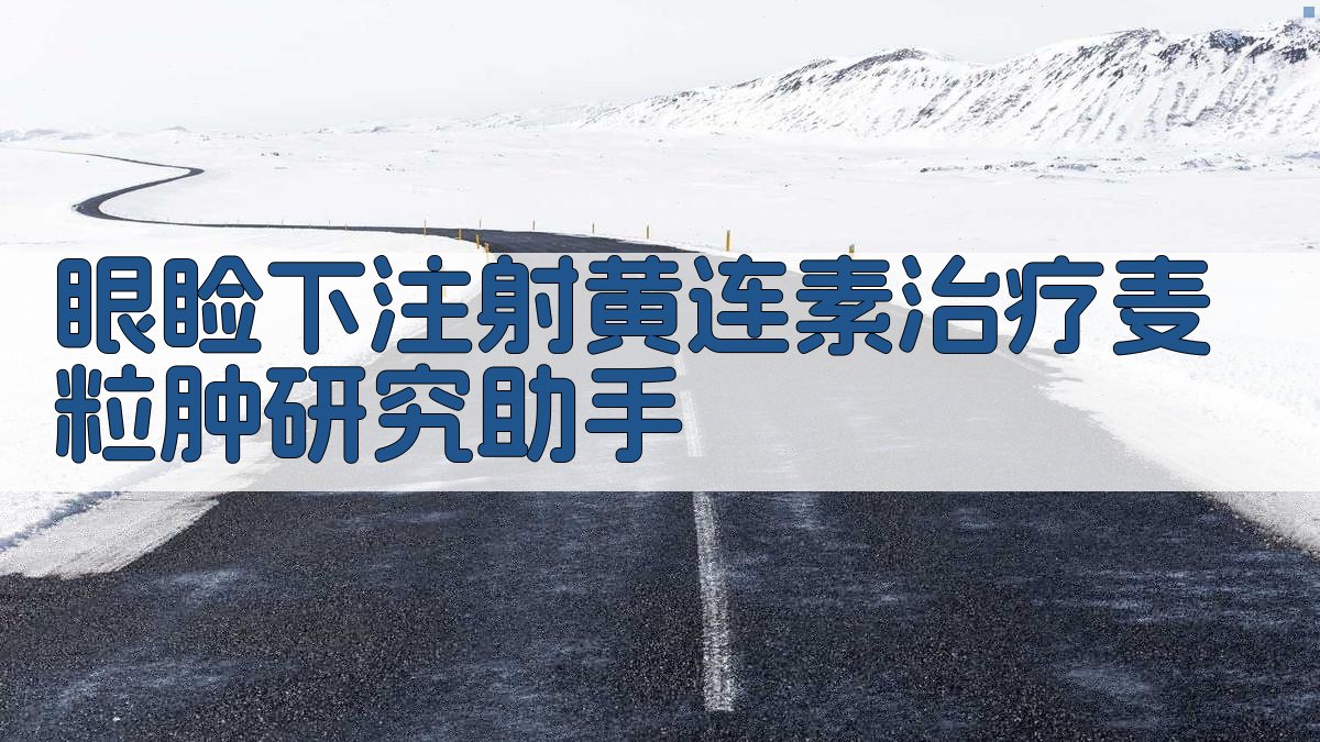 眼睑下注射黄连素治疗麦粒肿研究助手