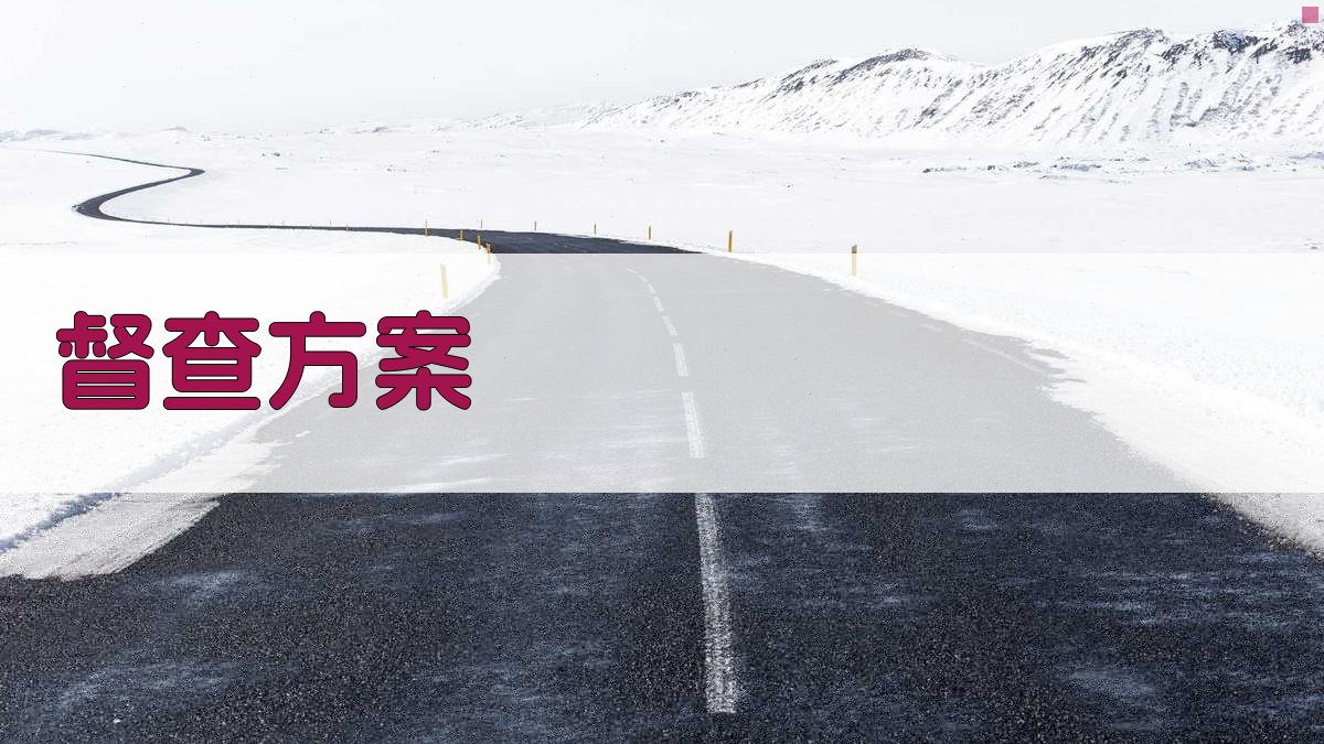 AI督查方案生成器