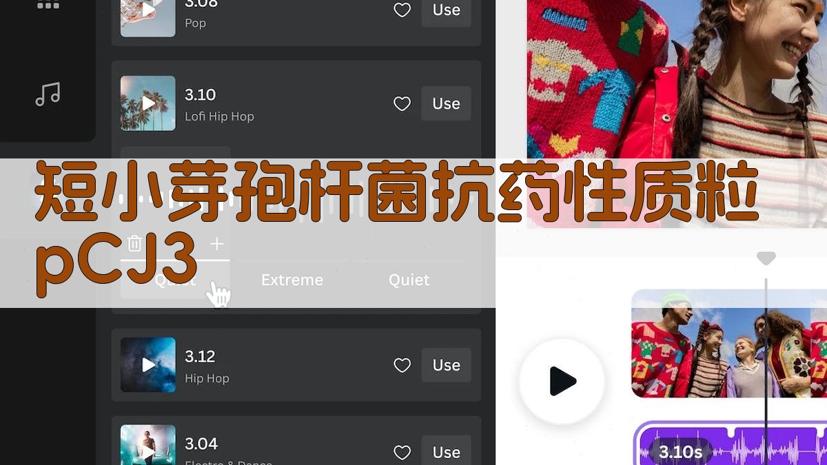 短小芽孢杆菌质粒研究