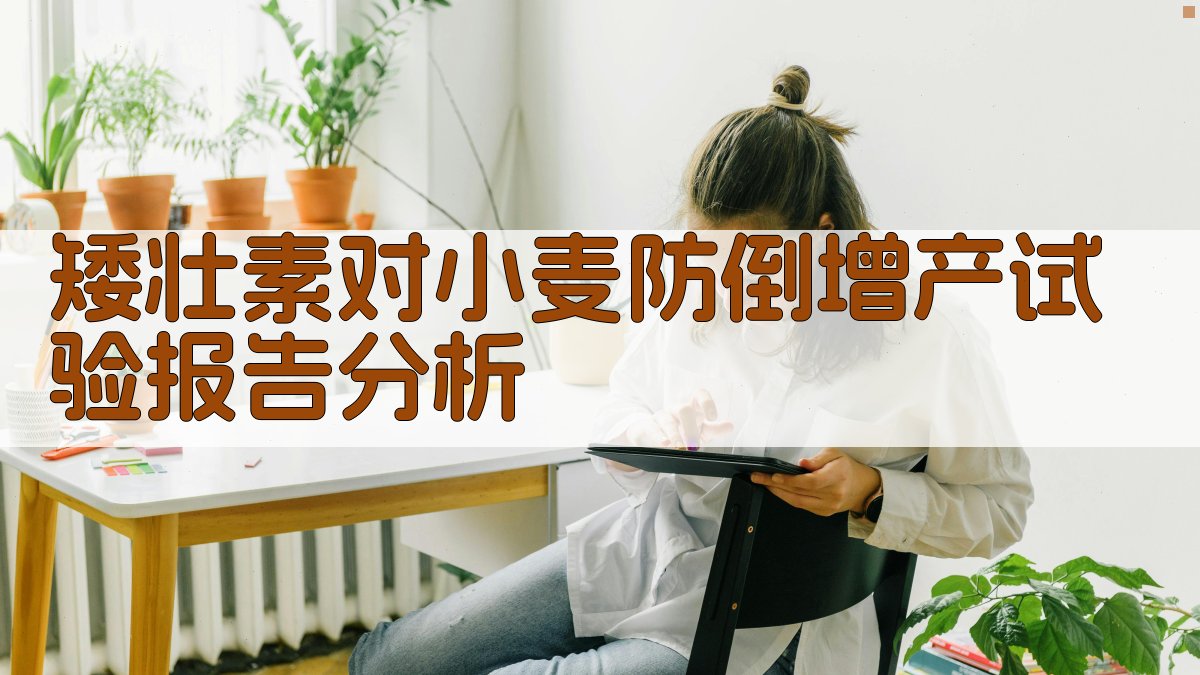 矮壮素对小麦防倒增产试验报告分析