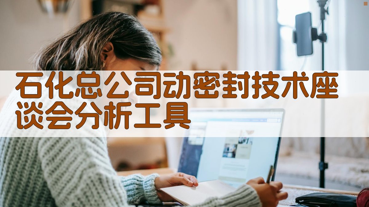 石化总公司动密封技术座谈会分析工具