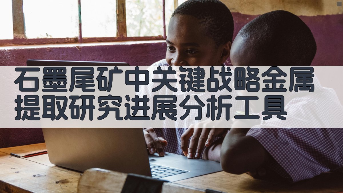 石墨尾矿中关键战略金属提取研究进展分析工具