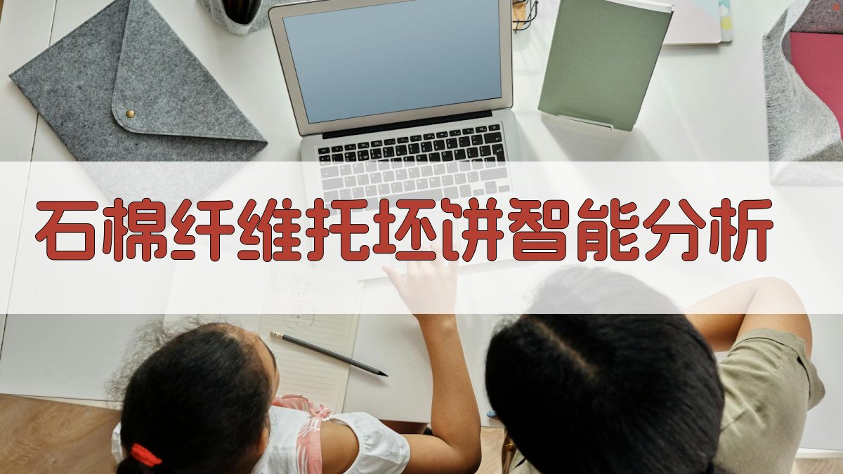 石棉纤维托坯饼智能分析