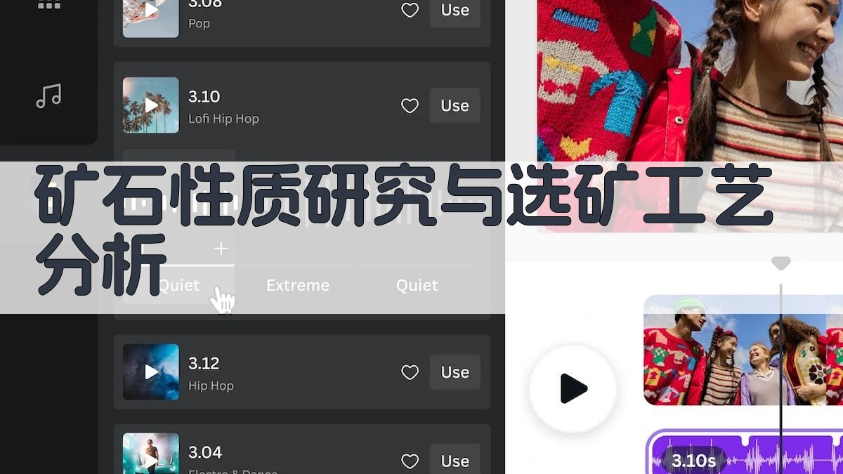 矿石性质研究与选矿工艺分析