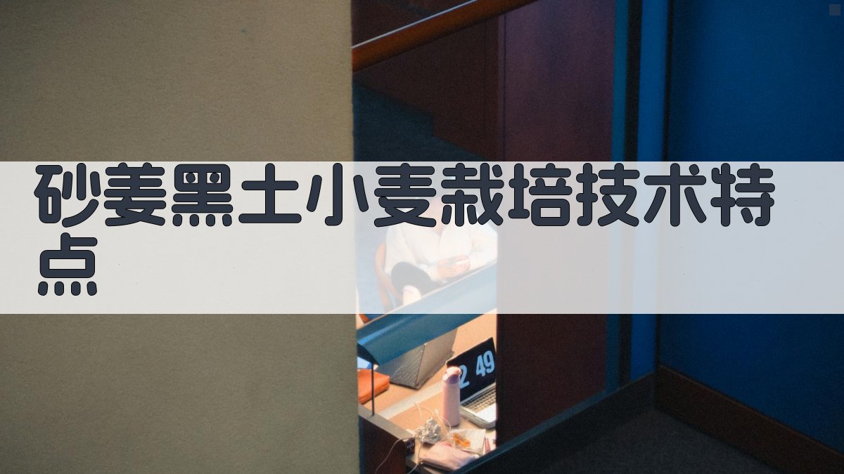 砂姜黑土小麦栽培技术特点分析