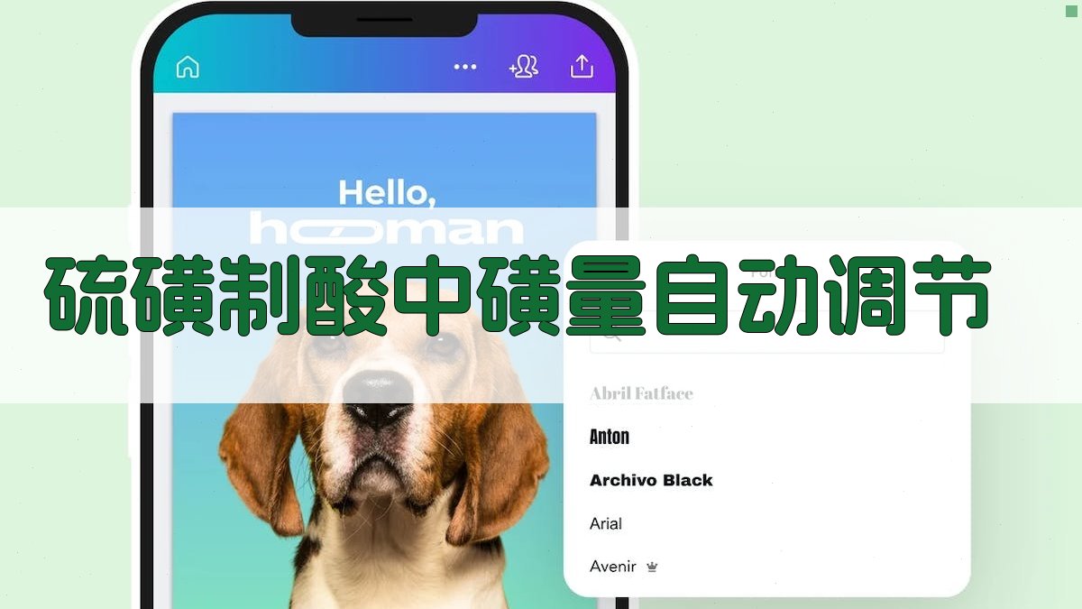 硫磺制酸中磺量自动调节