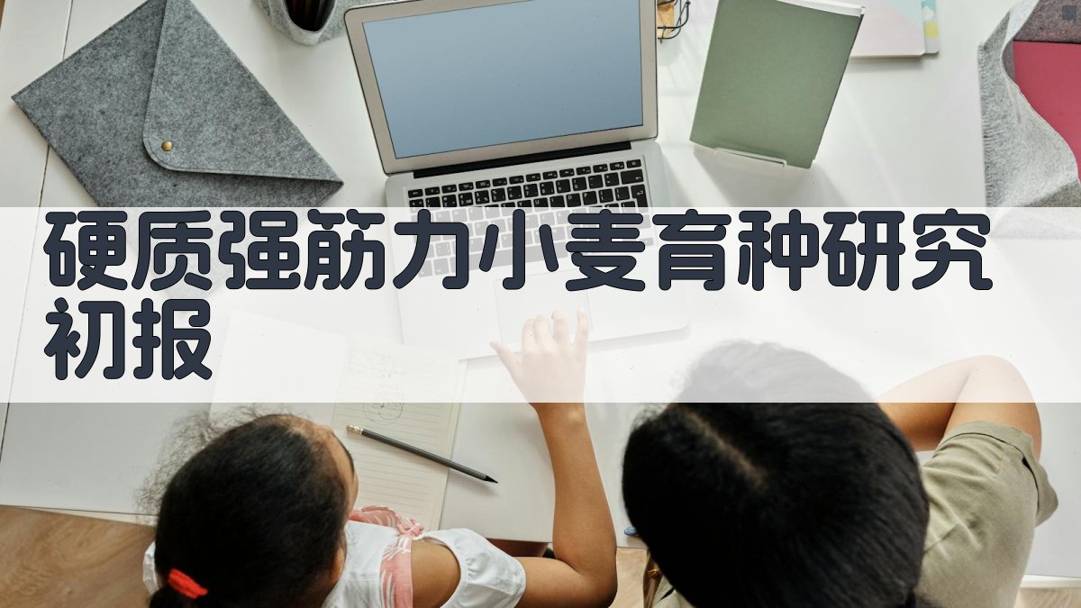 AI硬质强筋力小麦育种研究初报分析工具