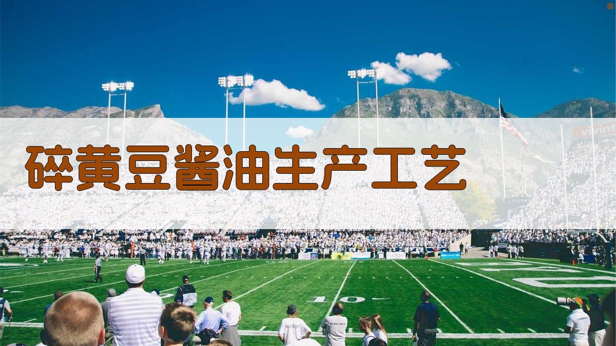 碎黄豆酱油生产工艺