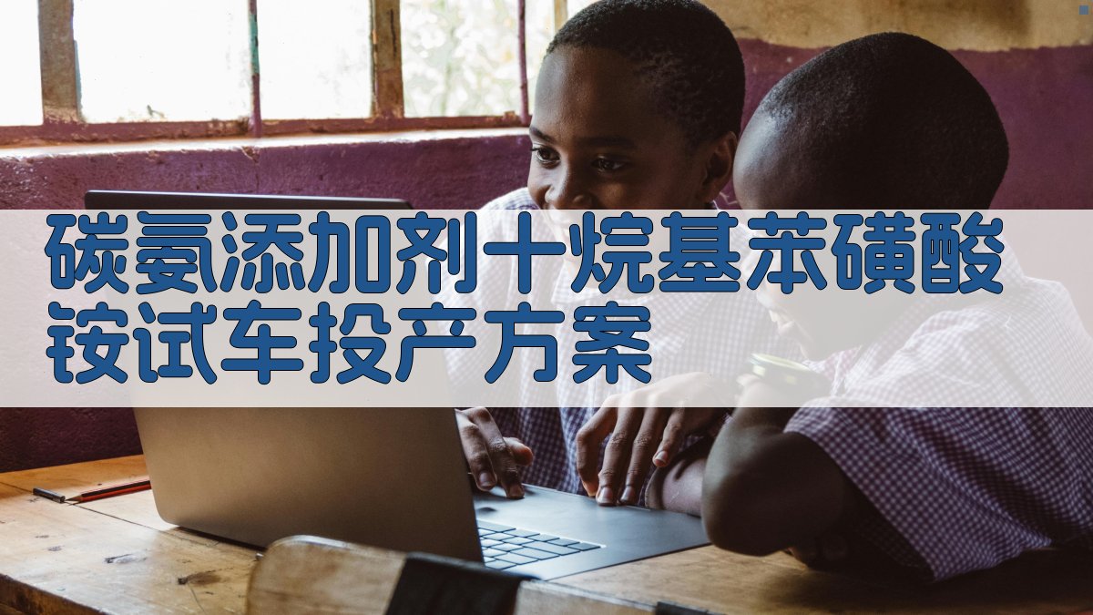 碳氨添加剂十烷基苯磺酸铵试车投产方案