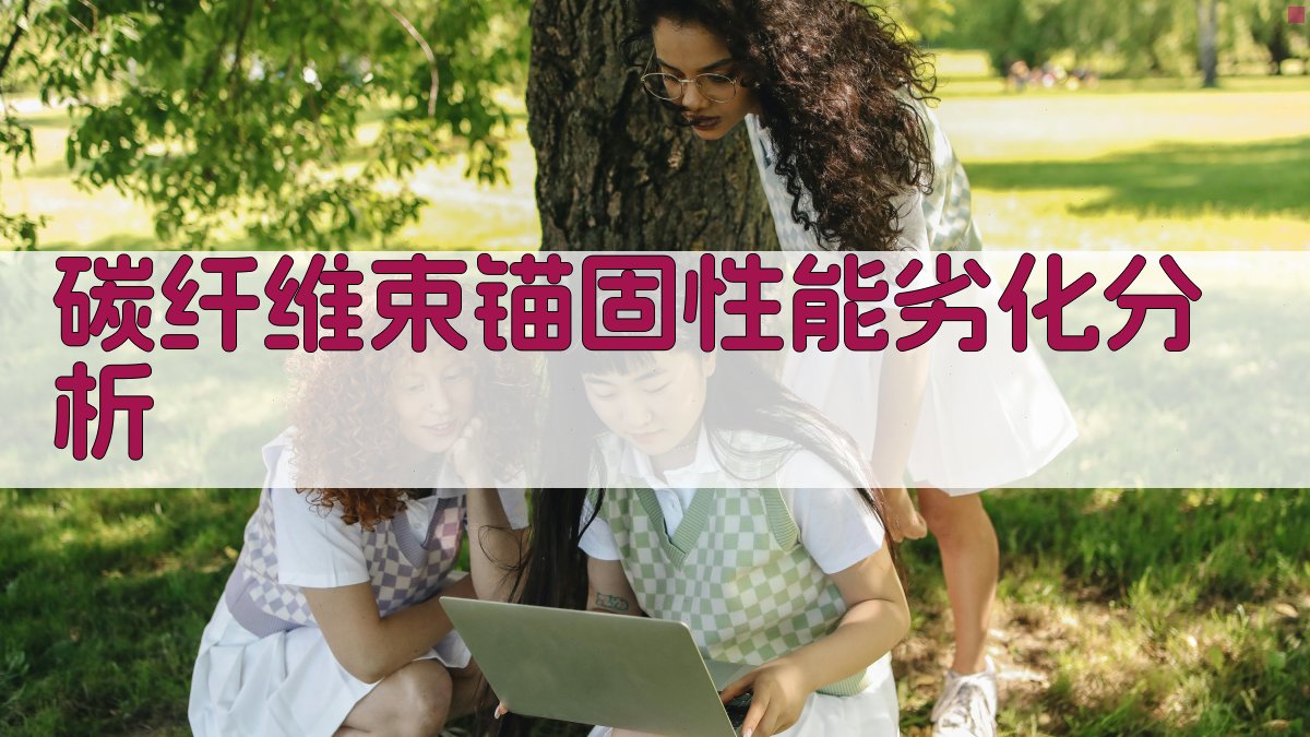 AI碳纤维束锚固性能劣化分析