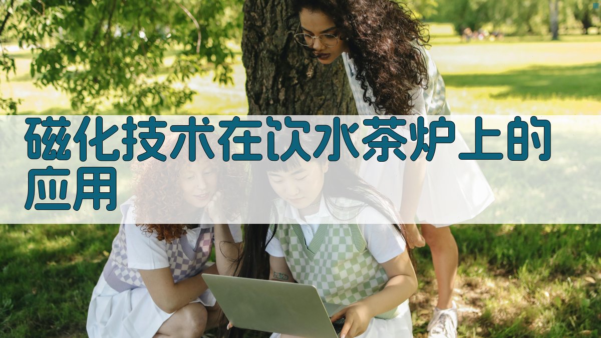 磁化技术在饮水茶炉上的应用