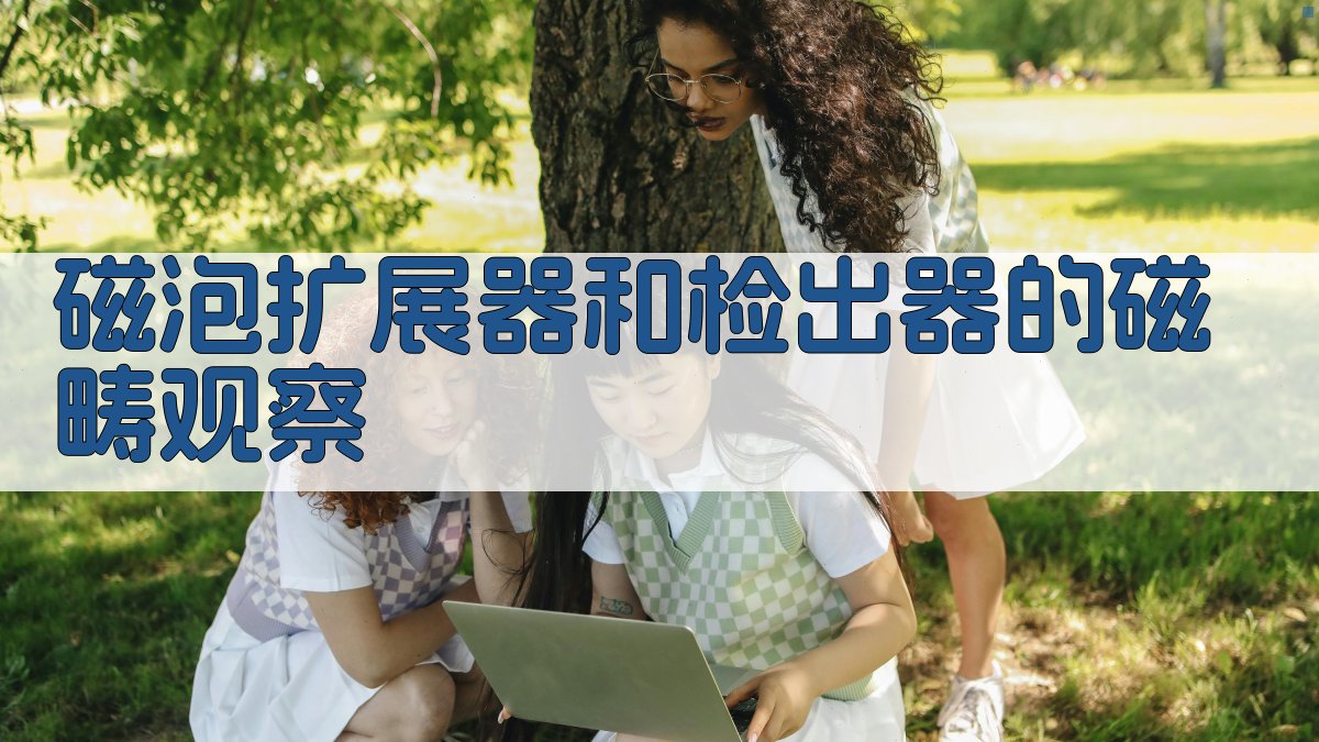 磁泡扩展器和检出器的磁畴观察