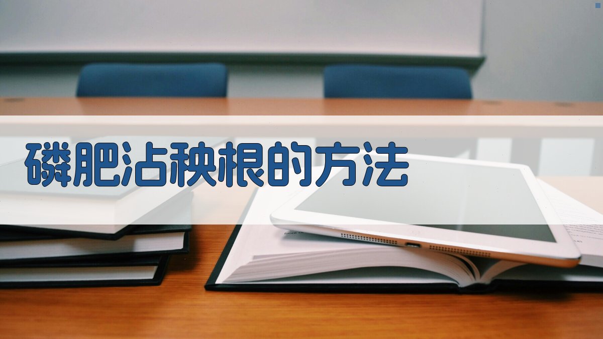 磷肥沾秧根的方法