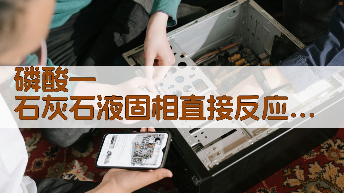 饲料磷酸氢钙反应工艺生成器