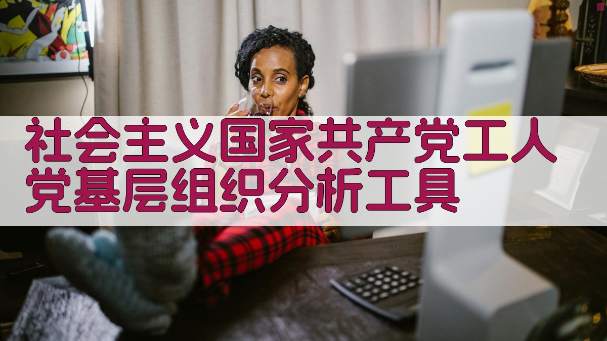 社会主义国家共产党工人党基层组织分析工具