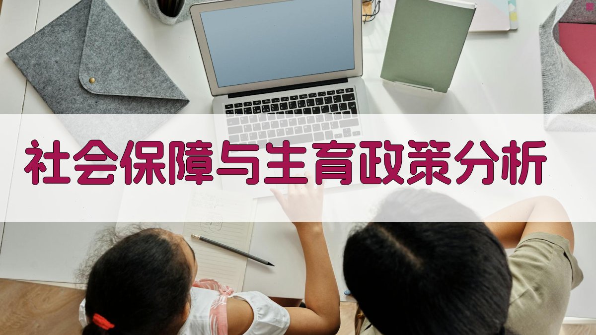 AI智能社会保障与生育政策分析