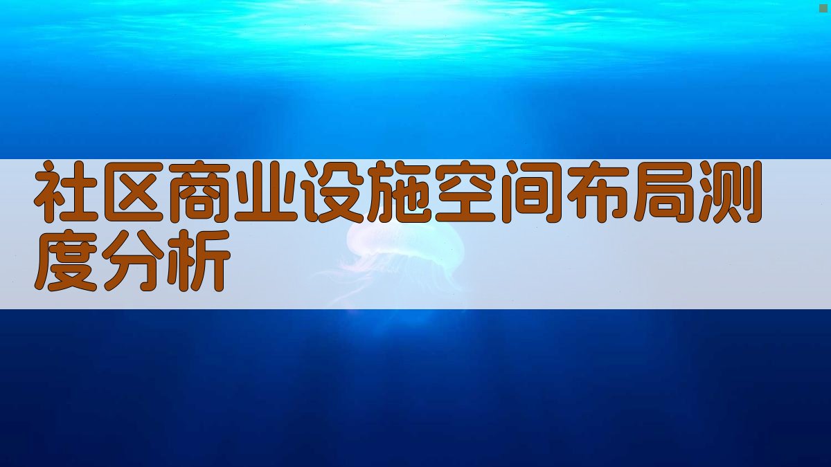社区商业设施空间布局测度分析