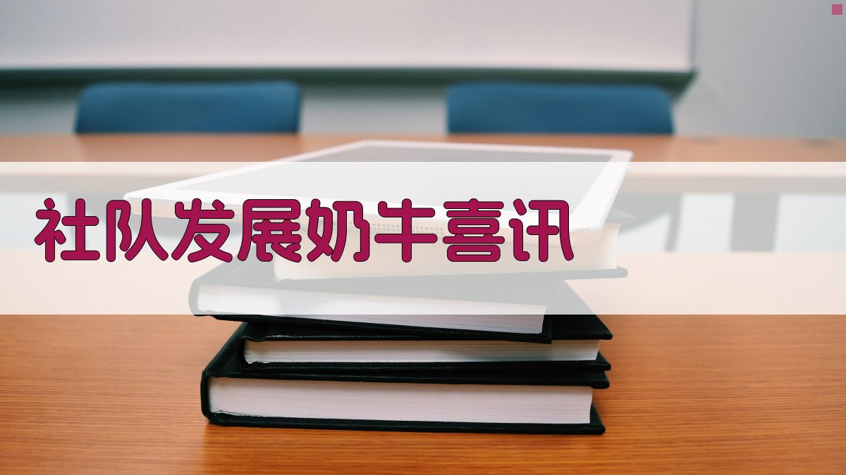 AI一键生成社队发展奶牛喜讯